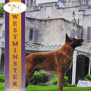 Meet your Posher, Barbara